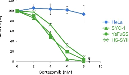 Figure 9.  滑膜肉腫細胞株は Bortezomib に対して感受性を示す。 