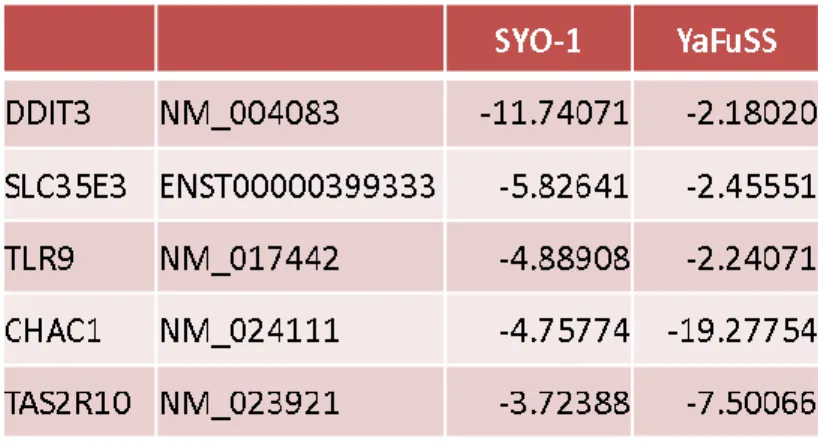 Table 5. Gene expression profiles: genes down-regulated by Bortezomib 