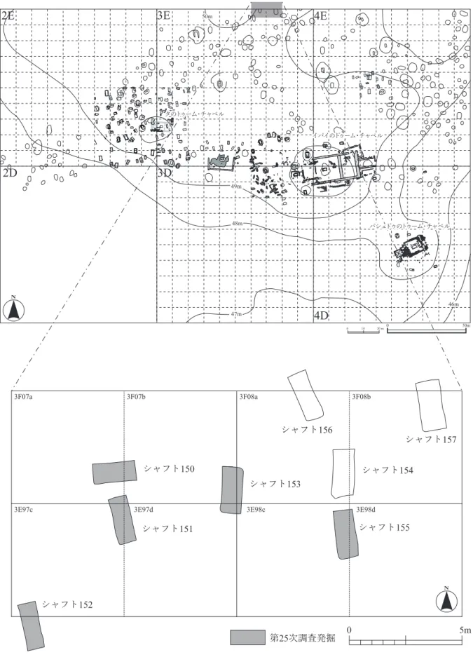 図 1　ダハシュール北遺跡の地図と第 25 次発掘区
