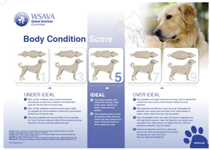 Fig. 5    Body Condition Score (BCS) 5 段階評価 (WASVA  Global  Nutrition  Committee 引用 ) 