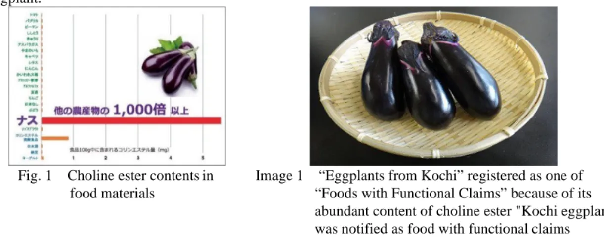 Fig. 1  Choline ester contents in  food materials 