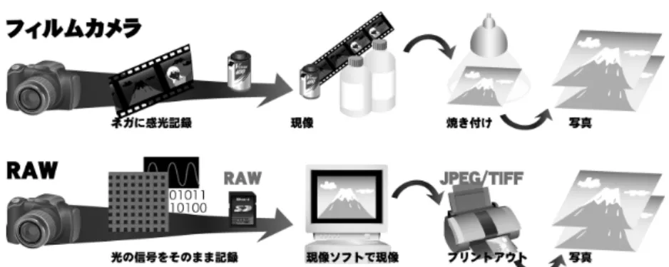 Fig. 2 What is RAW?