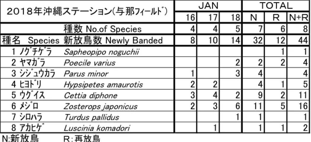 表 11  沖縄（越冬鳥）日別放鳥一覧  Winter Birds at Okinawa Station 