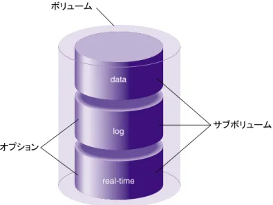 図 1-8  に、システム定義サブボリューム・タイプを持つ  XVM  ボリュームを示します。