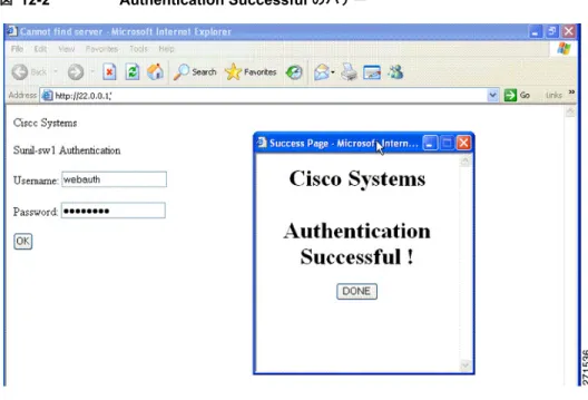 図 12-2 Authentication Successful  のバナー