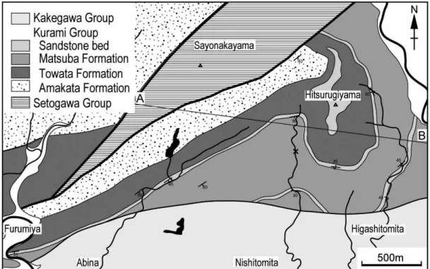 Fig. 7　Geological map of this study area showing the sampling point of NHMT-V501 (x) and the line (A-B) of the  geological section.