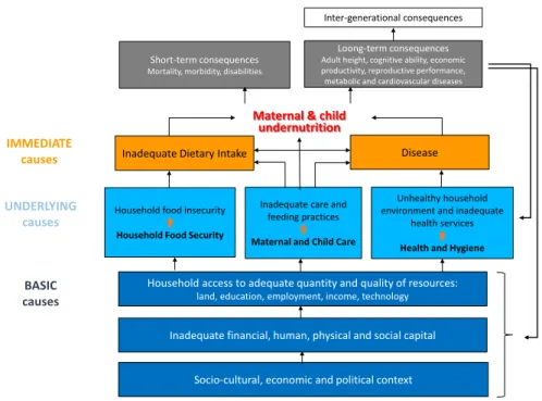 図 2：栄養概念枠組（Nutrition Conceptual Framework） 