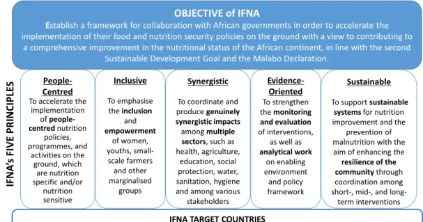 図 1：IFNA 概要 6