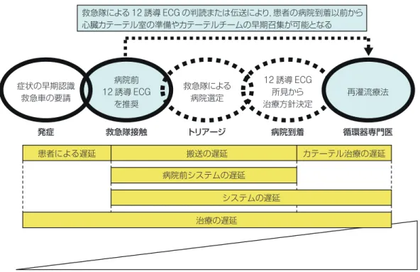 図 4 88) に示す． 6. STEMI 患者診療施設に求められ る必要条件 STEMI の初期診断がなされていない場合には，初期診 断に必要な機能を有する施設であることが必要である．心 電図，血液生化学検査（心筋トロポニン定性検査でも可） が施行可能であり，診療可能な医師が常駐していることが 最低必要な条件である．早期再灌流療法の適応の有無にか かわらず， STEMI と診断あるいは疑われる場合には，一 般的初期治療を行いながら循環器専門施設へ転送するこ とが望ましい．また，循環器専門施設として求められ