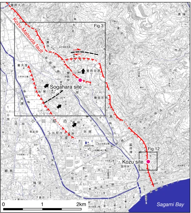 Fig. 2. Map showing distribution of the Kozu-Matsuda fault and study sites. Digital Map 25000 (Map Image), 