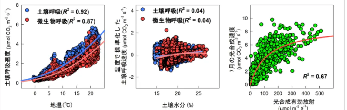 図 1 左：地温と土壌呼吸および微生物呼吸の相関。いずれも指数関数的な強い相関が確認できる。 中：5月から10月における土壌水分と、温度で標準化された土壌呼吸および微生物呼吸の相関。強い 相関は確認できない。右：林床における光の強さ（光合成有効放射）と、林床部の光合成速度の相関 （ 7 月）。光と林床光合成の強い関係性がうかがえる 地球環境研究センターの研究者が進めている、タワー観測による森林生態系の炭素フラックスとの比較も行っていま す。富士北麓サイト内に設置している、約 32m の高さのタワーによる観測