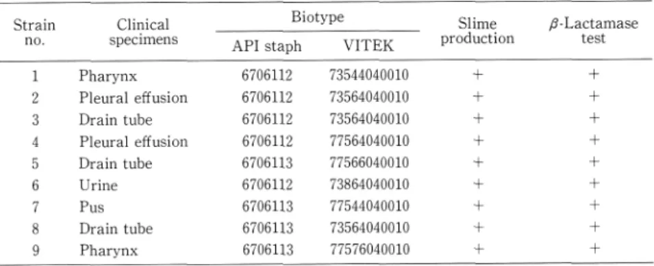 Table  1  Characterization  of  S.  epidermidis  isolates  from  clinical  specimens