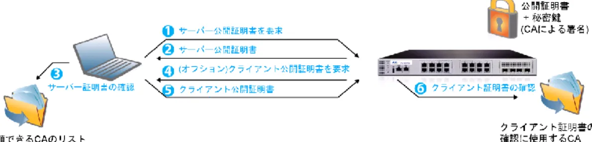 図 21 ：クライアント SSL の概要