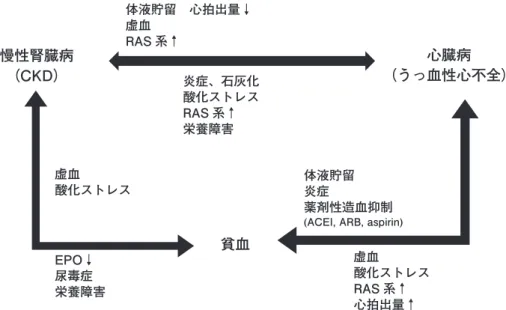 図 3　cardio-renal anemia syndrome（CRA 症候群）．