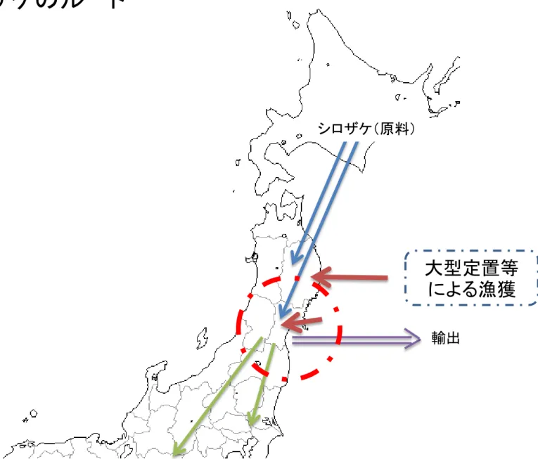 図  三陸シロザケのルート