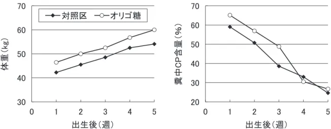 図 3　ホルスタイン種子牛の体重と糞中 CP 含量の変動（n ＝ 10）7060504030体重（kg）出生後（週）543210706050403020糞中CP含量（％） 出生後（週） 543210対照区　　　　オリゴ糖 ［子牛の栄養と代謝の特異性］ 　乳用子牛と和牛子牛の発育改善と栄養管理の 関係を前述したが、子牛の栄養と代謝は哺乳期 の特異性が非常に大きい。特に、新生子牛のタ ンパク質の消化機能は生後 3 週齢までは乳以外 の消化が不十分なため、3 週齢までは母乳ある いは乳タンパク質を主体にした代用乳