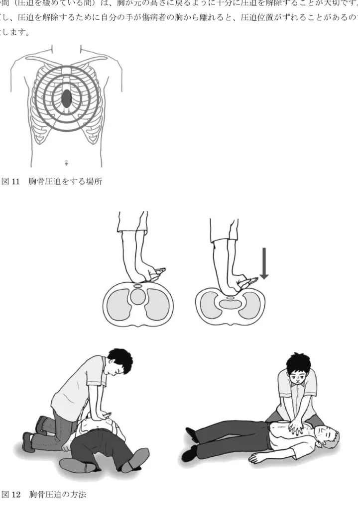 図 11  胸骨圧迫をする場所 
