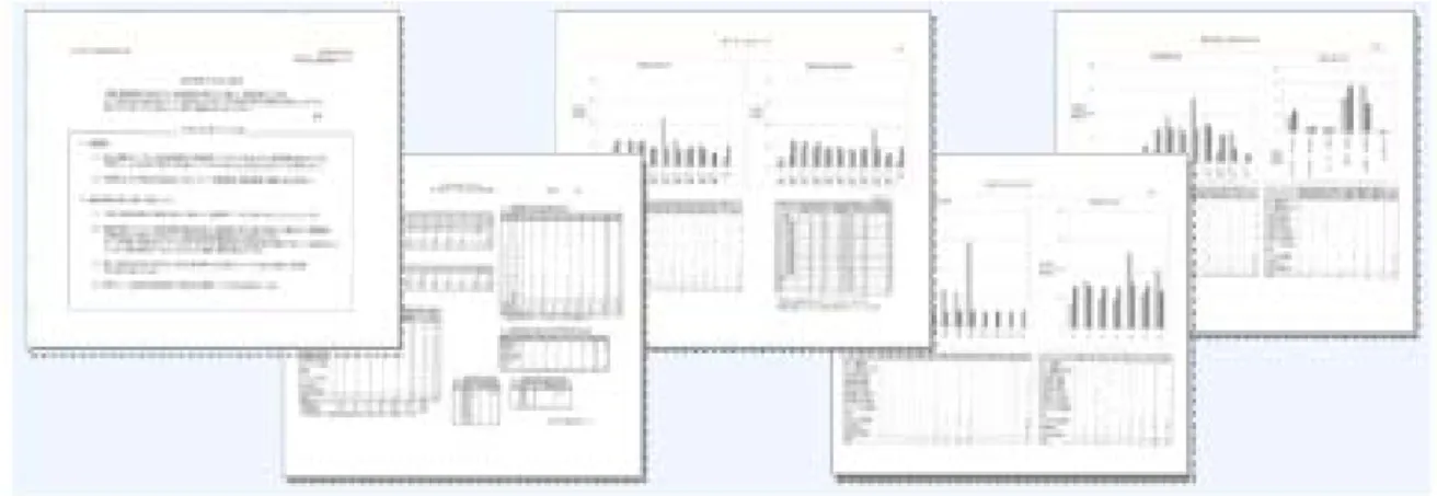 図 7  事故分析レポート例 18    この他、中小規模版ガイドラインには、自社内の安全管理の取組状況を定期的に点検する際に用いる「安 全管理の取組状況の自己チェックリスト」が添付されている。  3.4.2
