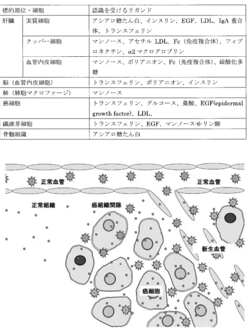 Table 2 Internalizing receptors or epitopes suitable for targeted drug delivery systems