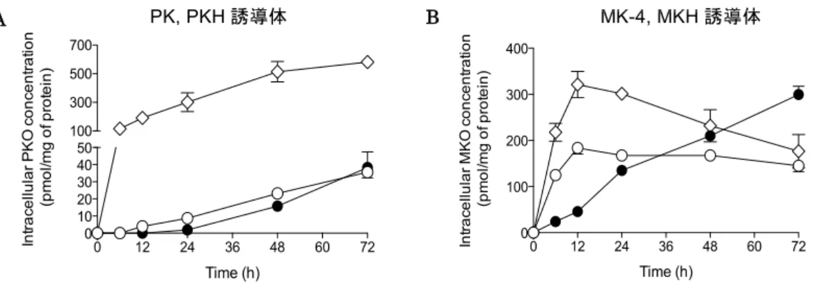 Fig.  5.  HaCaT 細胞におけるキノン型 VK および VKH 誘導体  (5  µM)  添加後の細胞内 VKO 濃度の経時変化.  (A)  ○：PK,●：