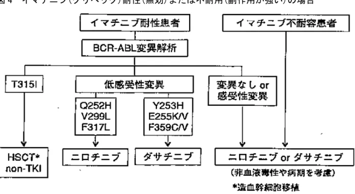 図 5  耐性の原因の変異 ABL 解析結果による方針 