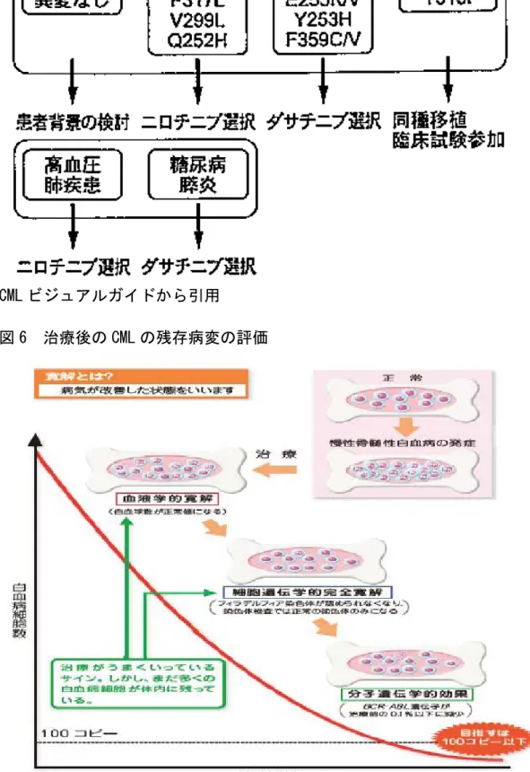 図 6  治療後の CML の残存病変の評価 