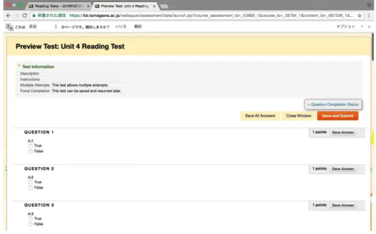 Figure 3 . Preview of a test in a student’s browser.