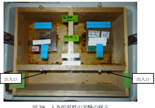 図 38 ．人為的混群の実験の様子 左の営巣室にオオマルハナバチ、右の営巣室にクロマルハナバチのコロニーを設置した 様子。それぞれの営巣室の出入口は繋がっており、お互いに行き来できるようになってい る。 図 39 ．オオマルハナバチの巣にクロマルハナバチのワーカーが 侵入した様子出入口 出入口