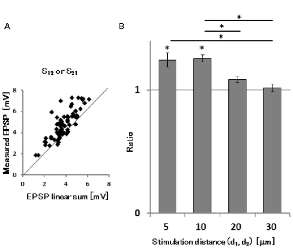 Fig. 5.3 Spatial dependence of EPSP summation in Branch stimulation 