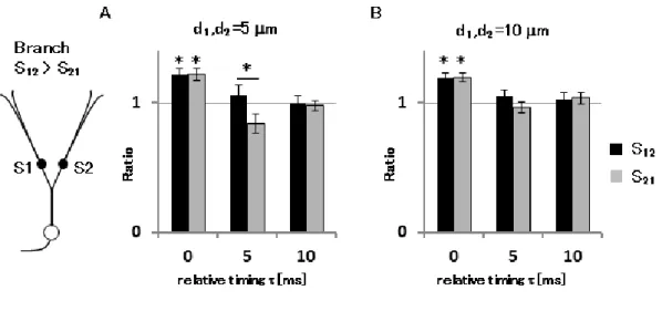 Fig. 5.6 Spatiotemporal dependence of EPSP summation in Branch stimulation 