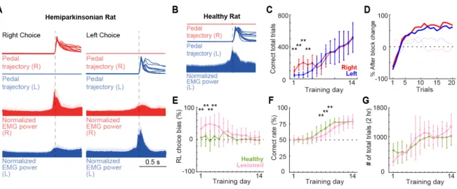 Figure 2. Task performance. (A) Top, pedal trajectories of right and left forelimbs during task  performance in hemiparkinsonian rat
