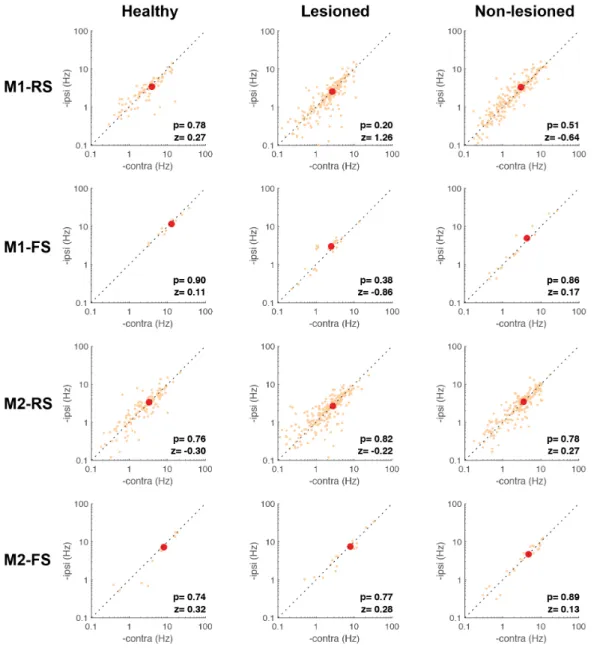 Figure  5.  Mean  post-movement  firing  rate  of  the  Hold-type  neurons.  Comparison  of  the  mean firing rate after movement onset of the Hold-type neurons of the RS and FS neurons of  M1 and M2