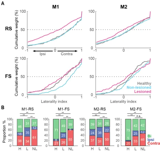 Figure 7. Laterality preference of Go-type activity in unidentified neurons in M1 and M2