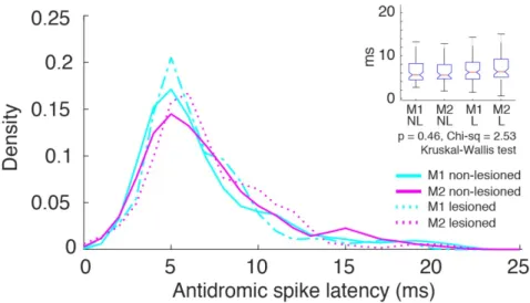 Figure 9. Distribution of the antidromic spike latency of the identified PT neurons of M1 and  M2