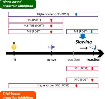Figure  9.    プロアクティブ抑制における各皮質領域の活動の修飾をまとめた図  上段はブロッ