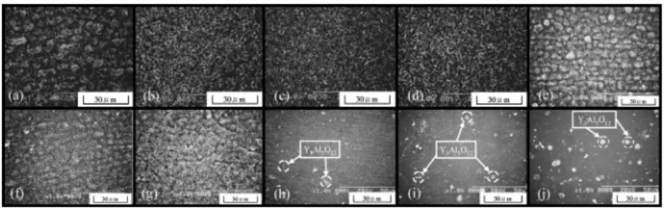 Fig. 10 に FeCrAl (Standard, FZ, 0.5Pd, 0.5Pt, 0.01Y–0.5Y) 合金の酸素中 1473 K, 18 ks 間酸化により形成したスケー ルの表面形態を示す。Standard 合金のスケール表面は起 伏のある形態を示し，FZ, 0.5Pd および 0.5Pt 合金のそれ は平滑であった。Y 添加合金のスケール表面は Y 添加量 の増加とともに起伏のある形態から平滑な形態へと変化 し ，0.1Y, 0.2Y お よ び 0.5Y 合 金 表 面 は 平 滑 で 