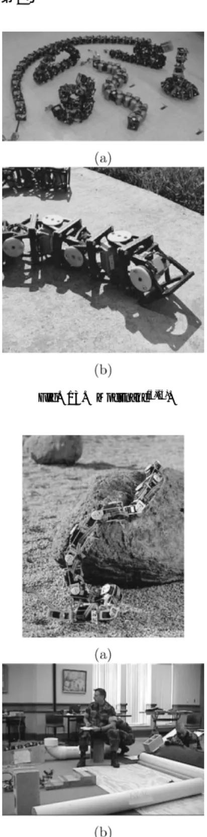 Fig. 14. Applications of Modsnakes 16),17) .