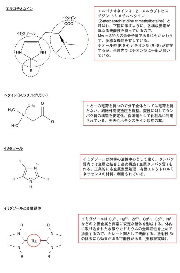 図 2 EGT の多様な機能性はその化学構造にある エルゴチオネインは、2−メルカプトヒスチジン トリメチルベタイン （2-mercaptohistidine trimethylbetaine）と呼ばれ、下図に示すように、各構成要素が異なる機能性を持っているので、 Mw = 229.3 の低分子量であるにもかかわらず、多様な機能を有している。 チオール型 (R-SH) とチオン型 (R=S) が存在するが、生体内ではチオン型に平衡が傾いている。エルゴチオネイン     イミダゾールSHNNHCOO−N+ベタ