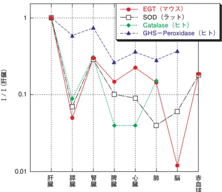 図 4 EGT と体内還元酵素の体内分布の比較