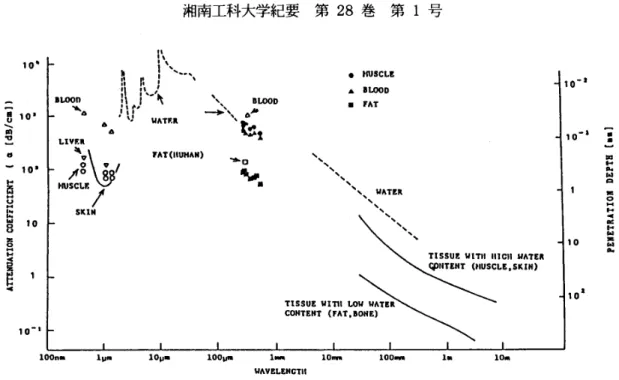 Fig. 1. Attenuation coeMcient of biological tissues.