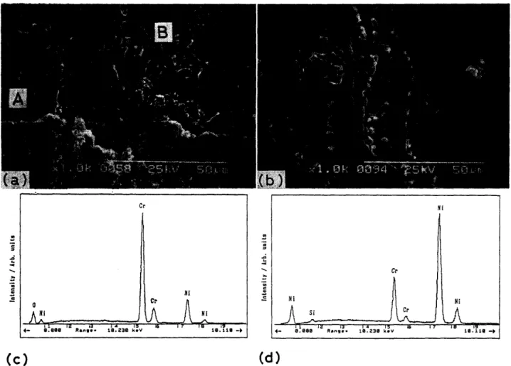 Fig． 5 ． 　 Scanning 　 electron 　 micrographs 　 of 　 alloy 　 surfaces 　 and 　 EDX 　 analysis 　 of 　 Ni− 20Cr −1Si 　 and 　 　 　Nj − 80Cr − 1Si 　 alloys 　 oxidized 　 in 　 O2 　 at 　 l373 　 K 　 for 　 14 ． 4ks ． 　 （a ） Surface 　 oxide 　 of 　 Ni− 20Cr −ISi 　 　 　 a