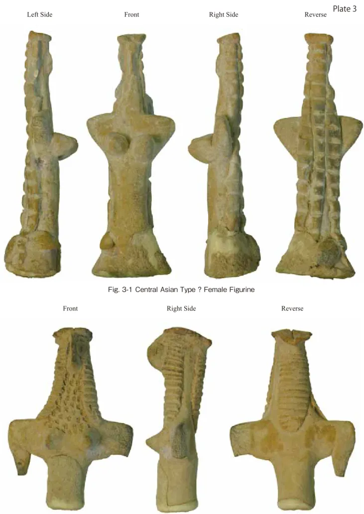 Fig. 3-1 Central Asian Type ? Female Figurine