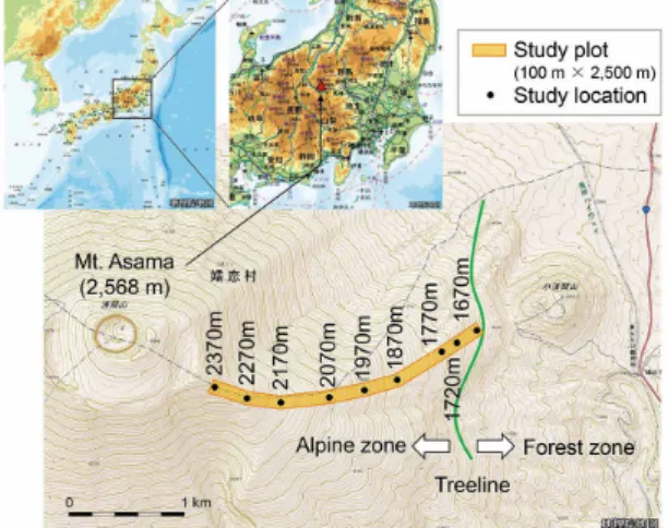 Figure 3. Study locations at eight altitudes in an alpine  zone of Mt. Asama.