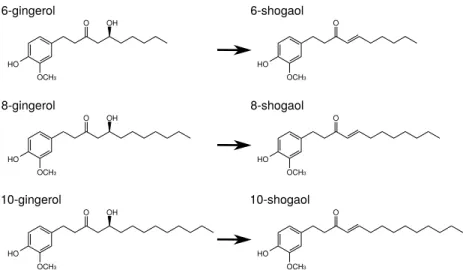 Figure 5. The structures of ingredients in shokyo (Zingiberis Rhizoma) and kankyo (Zingiberis Processum Rhizoma).