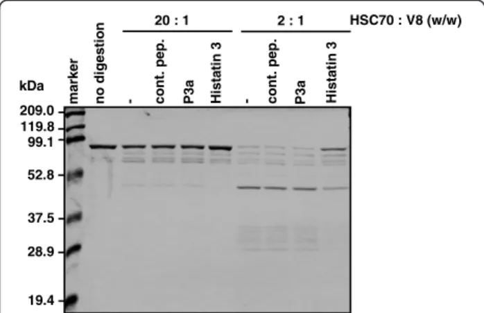 Figure 8 Protease-resistant conformation in histatin 3-bound HSC70. HSC70 was mixed with control peptide (cont