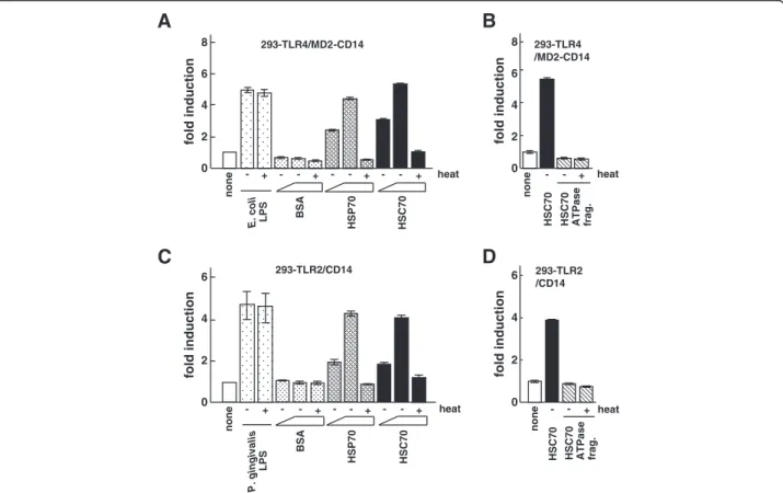 Figure 1 The effect of HSC70 on NF- κ B-dependent activation through TLR2 and TLR4. (A) Luciferase assays for NF- κ B-dependent activation by HSC70 through TLR4
