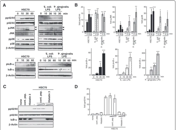 Figure 7 MAPK phosphorylation and I κ B- α degradation induced by HSC70 and the effect of histatin 3