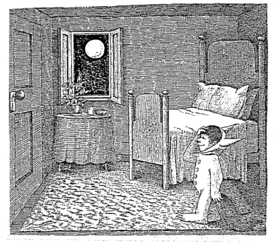図 6 かいじゅうたちのいるところ :センダック げ , ｢ピンクが嫌 いだとい うと女の子に もてな く なるとは思 うけど,かんべん して欲 しい色だ｣ と いっている人がいま した｡棚谷 さんなんかどうで すか ? ‑ 私 も,あとで紹介 します ピンク一色の子の 部屋に行きま して ,これはとて も入れない世界だ と思いま した｡ しか し,いざ中に入 ってみると, とて もホンワカとした気持ちが して ,恋を した く なって しまいま した｡ 井原 :もう, い くつかでま したが,今度 は嫌 