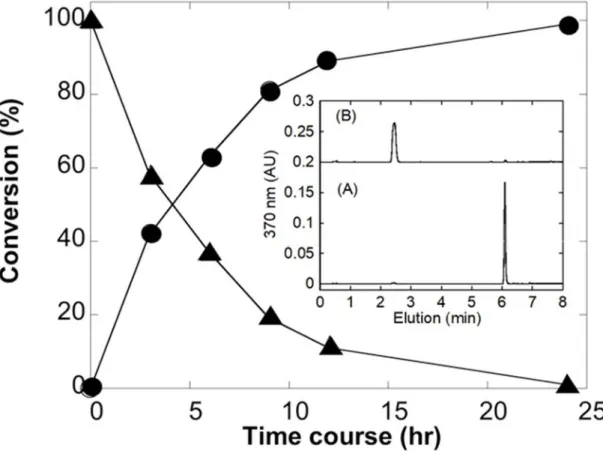 Fig. 2  ラット UGDH 及びヒト UGT1A6 同時発現出芽酵母株における 