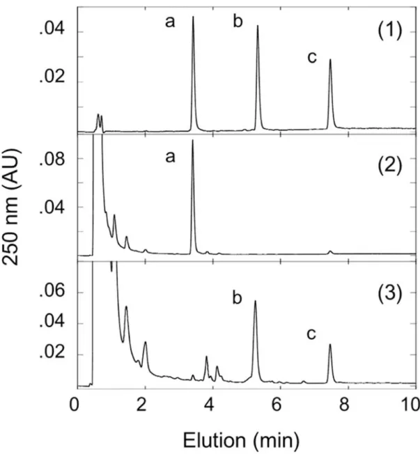 Fig. 4  ラット UGDH 及び UGT 同時発現出芽酵母株における 